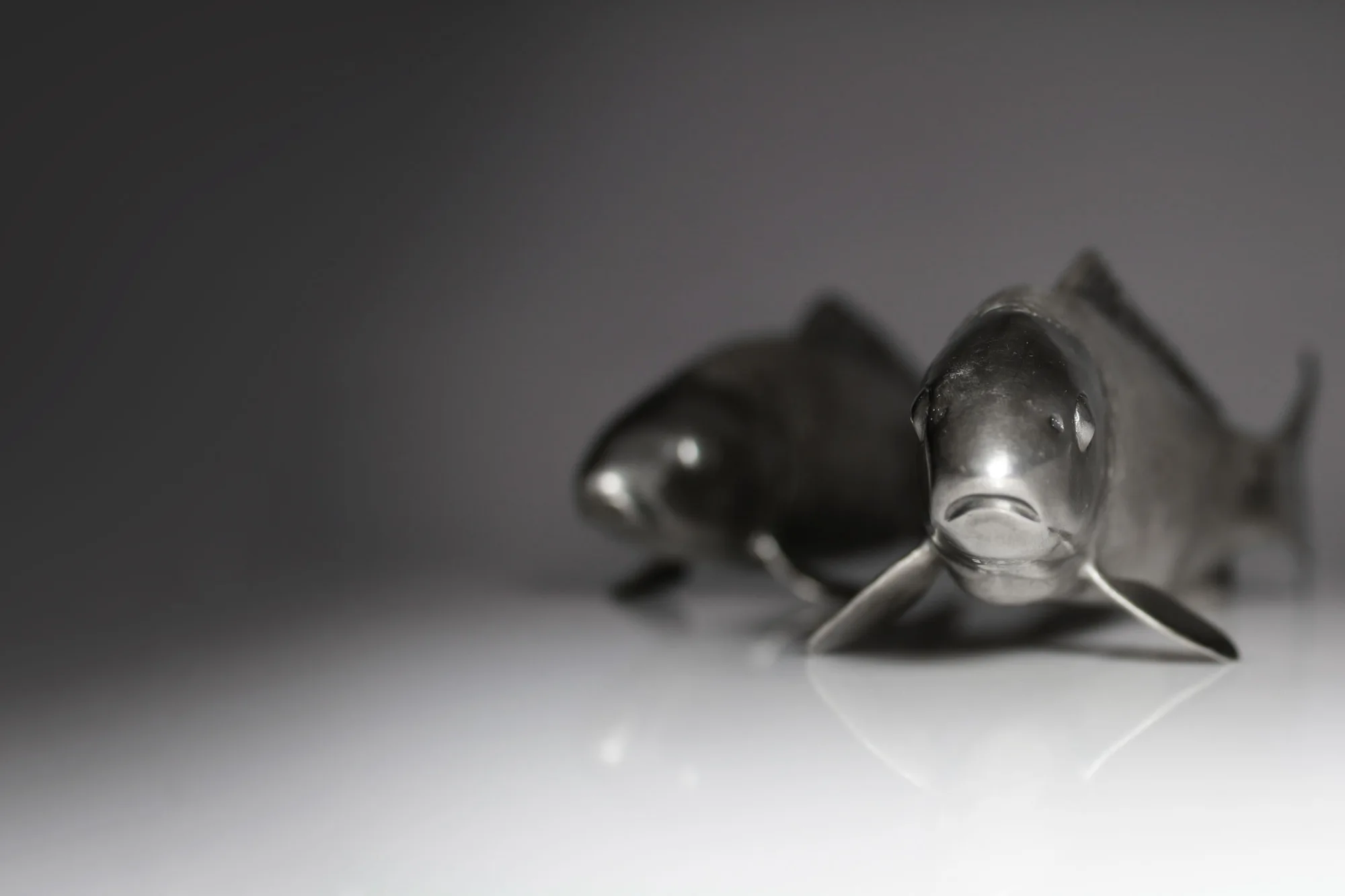 Jana Pfeifer: Koi 1