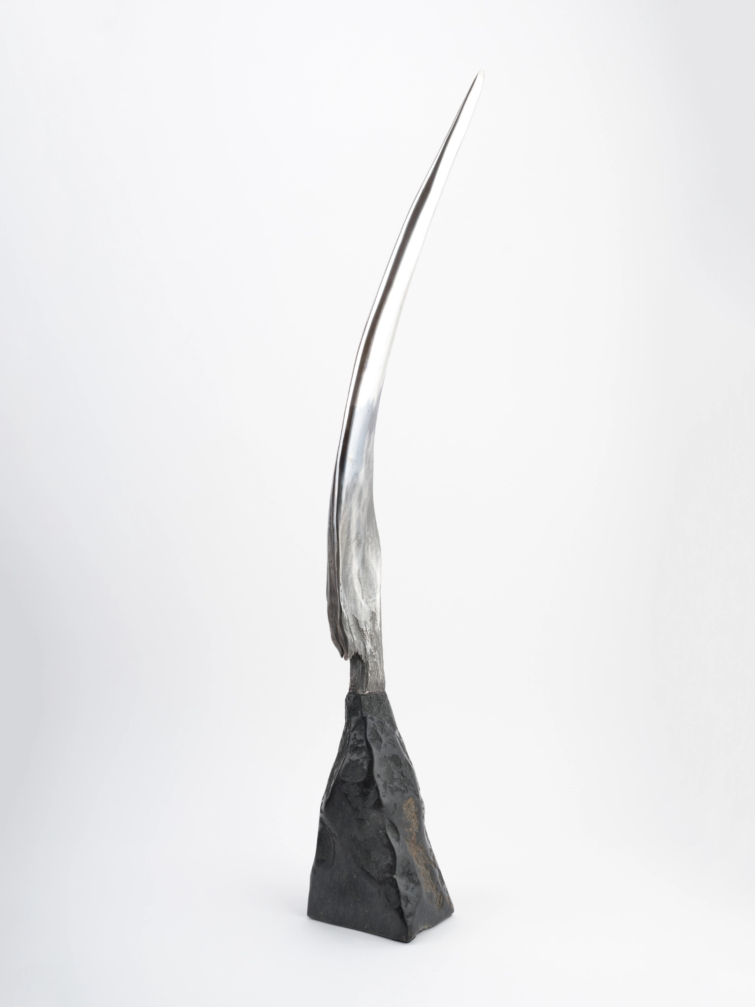 Reinhard Fescharek: Bird
